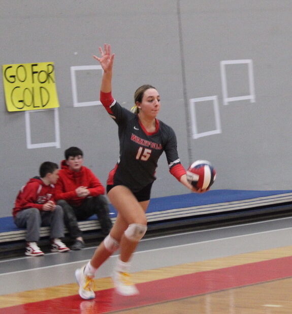 Volleyball 2023