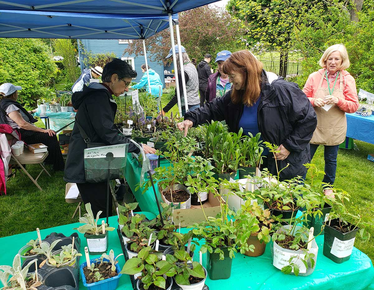 Annual Floral Way Festival is Saturday