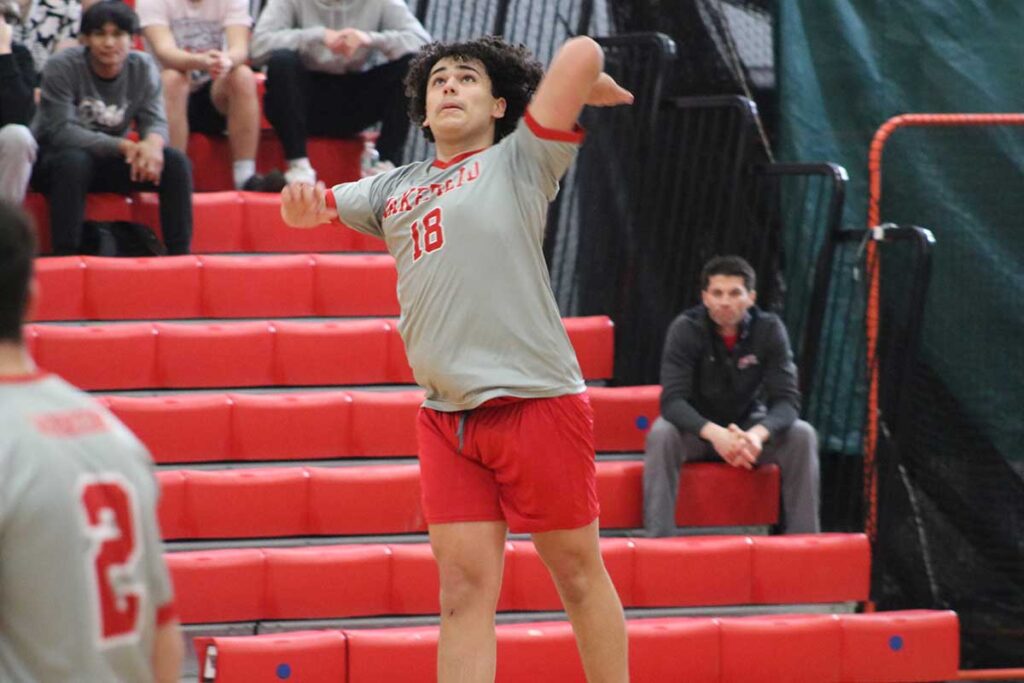Volleyball 2024