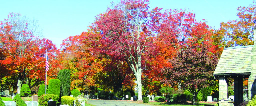 Photo 2025 Fall