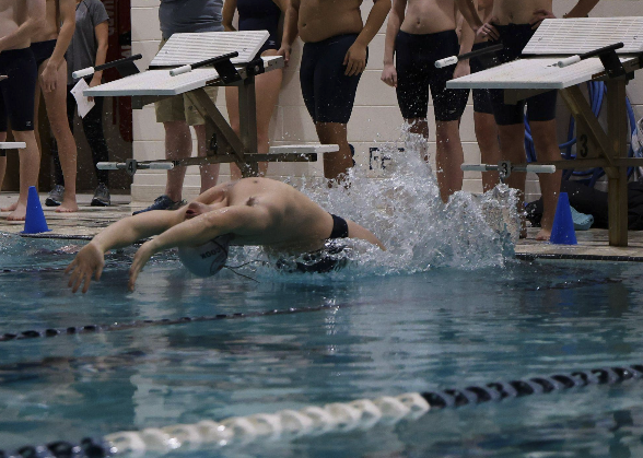 Swimming 2026