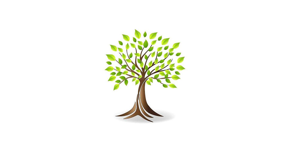 Town planting new liberty elm trees  at Veterans Memorial