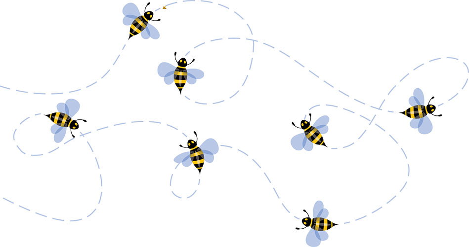 What’s the Buzz?
