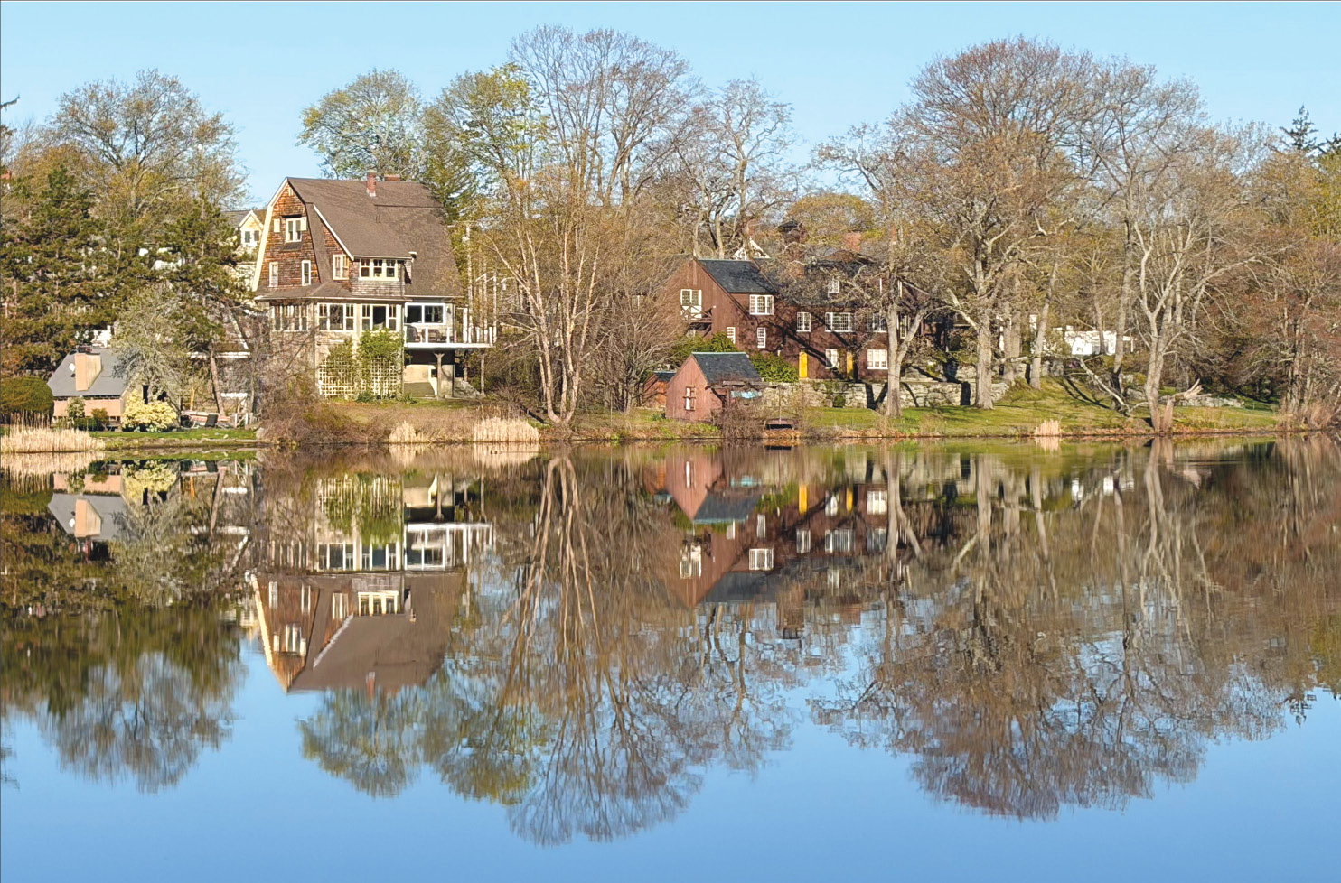 Calm and reflective