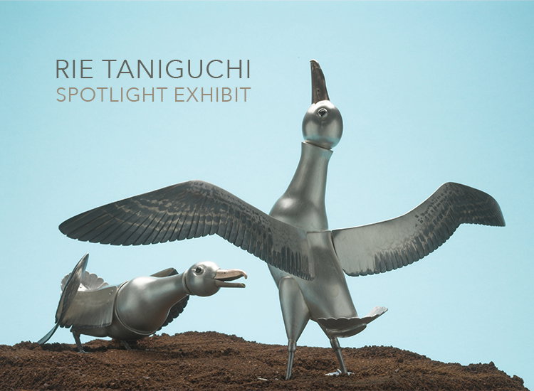 RIE TANIGUCHI : SPOTLIGHT EXHIBIT